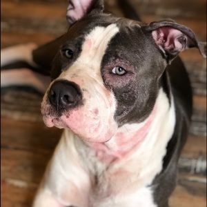 Meet your Posher, Keonna